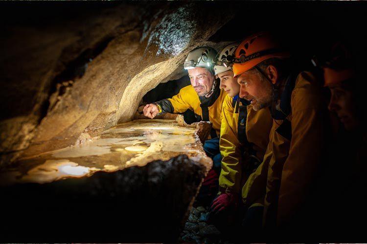 Observation de l'environnement souterrain en famille grotte d'Ardèche avec un guide spéléo, spéléo Cévennes, initiation spéléo Drôme, spéléo Vaucluse, spéléologie découverte Lozère